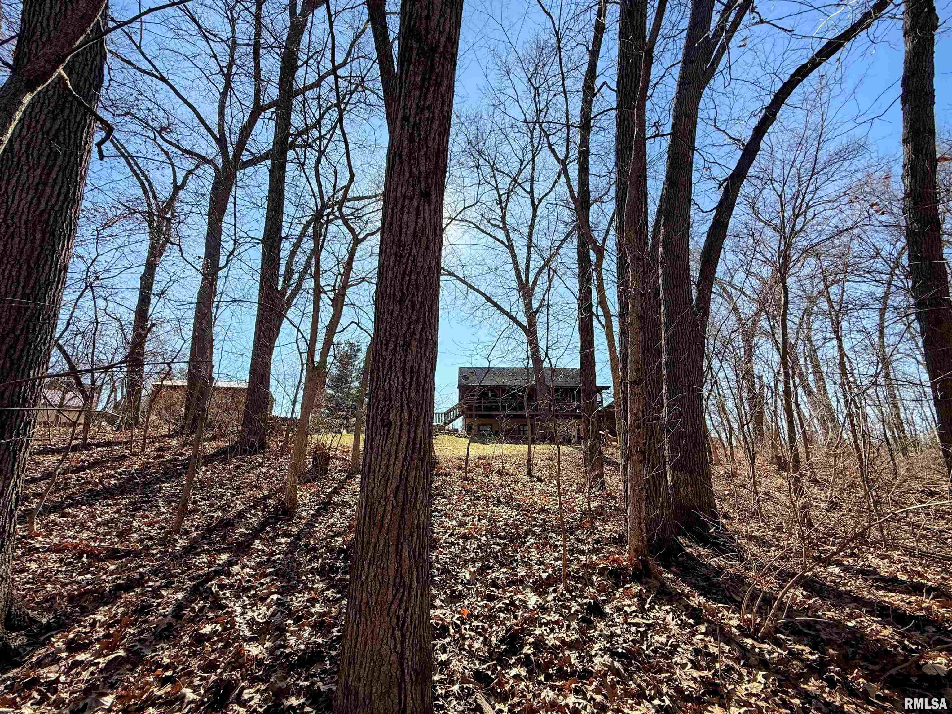 28829 North Bitner Road Glasford, IL 61533 - Photo 32 of 33