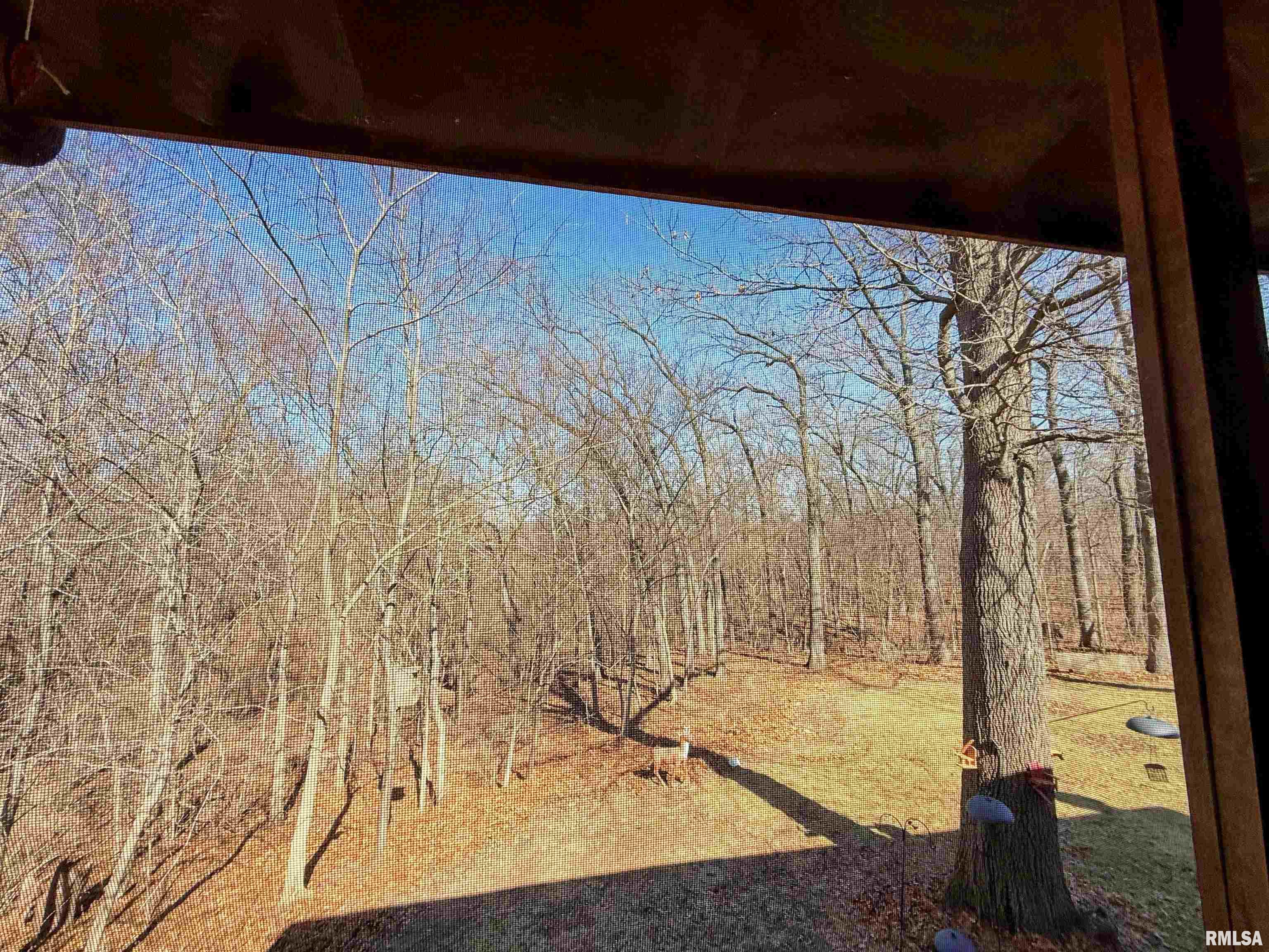 28829 North Bitner Road Glasford, IL 61533 - Photo 33 of 33