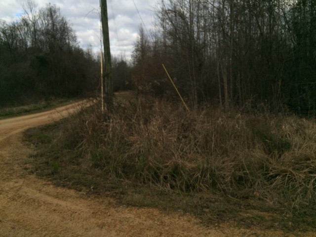 0 Phillips Road Lorman, MS 39096 - Photo 1 of 11 Photo 1