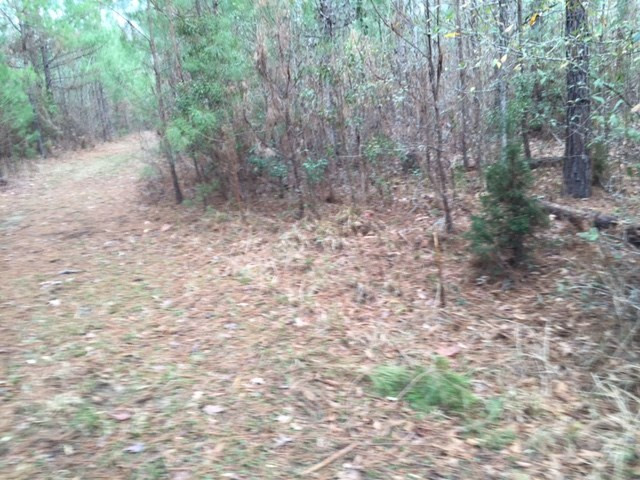 0 Phillips Road Lorman, MS 39096 - Photo 2 of 11 Photo 2