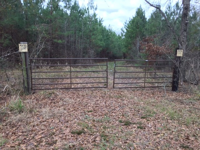 0 Phillips Road Lorman, MS 39096 - Photo 3 of 11 Photo 3