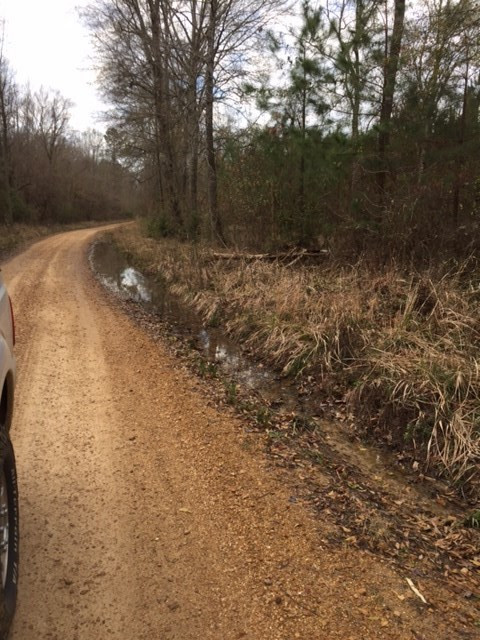 0 Phillips Road Lorman, MS 39096 - Photo 8 of 11 Photo 8
