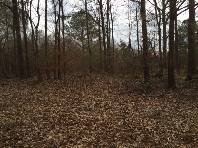 0 Phillips Road Lorman, MS 39096 - Photo 10 of 11 Photo 10