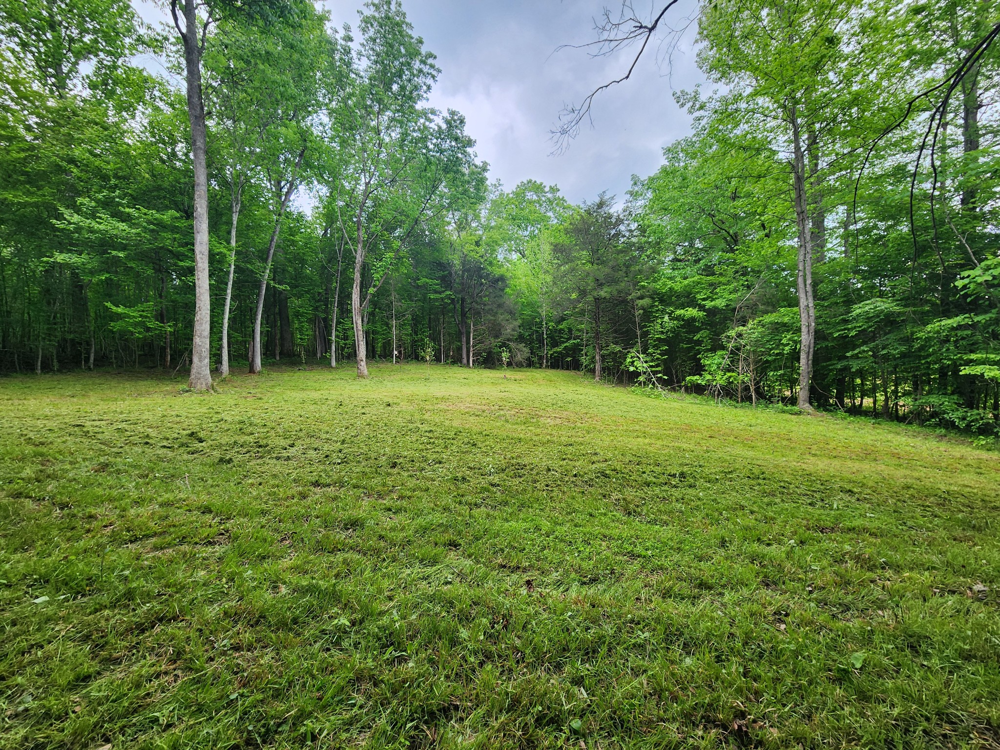 0 Tinin Road Clifton, TN 38425 - Photo 1 of 26 Gallery Image 1