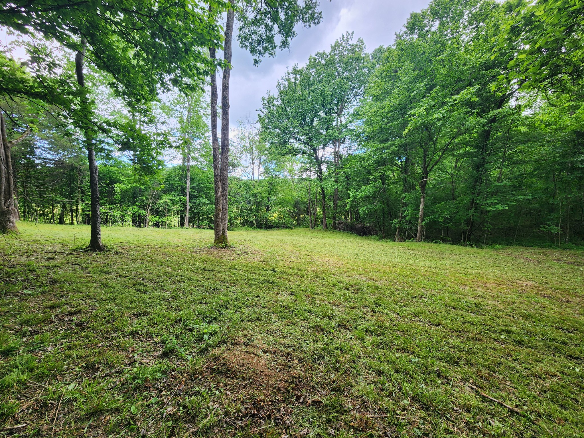 0 Tinin Road Clifton, TN 38425 - Photo 11 of 26 Gallery Image 11