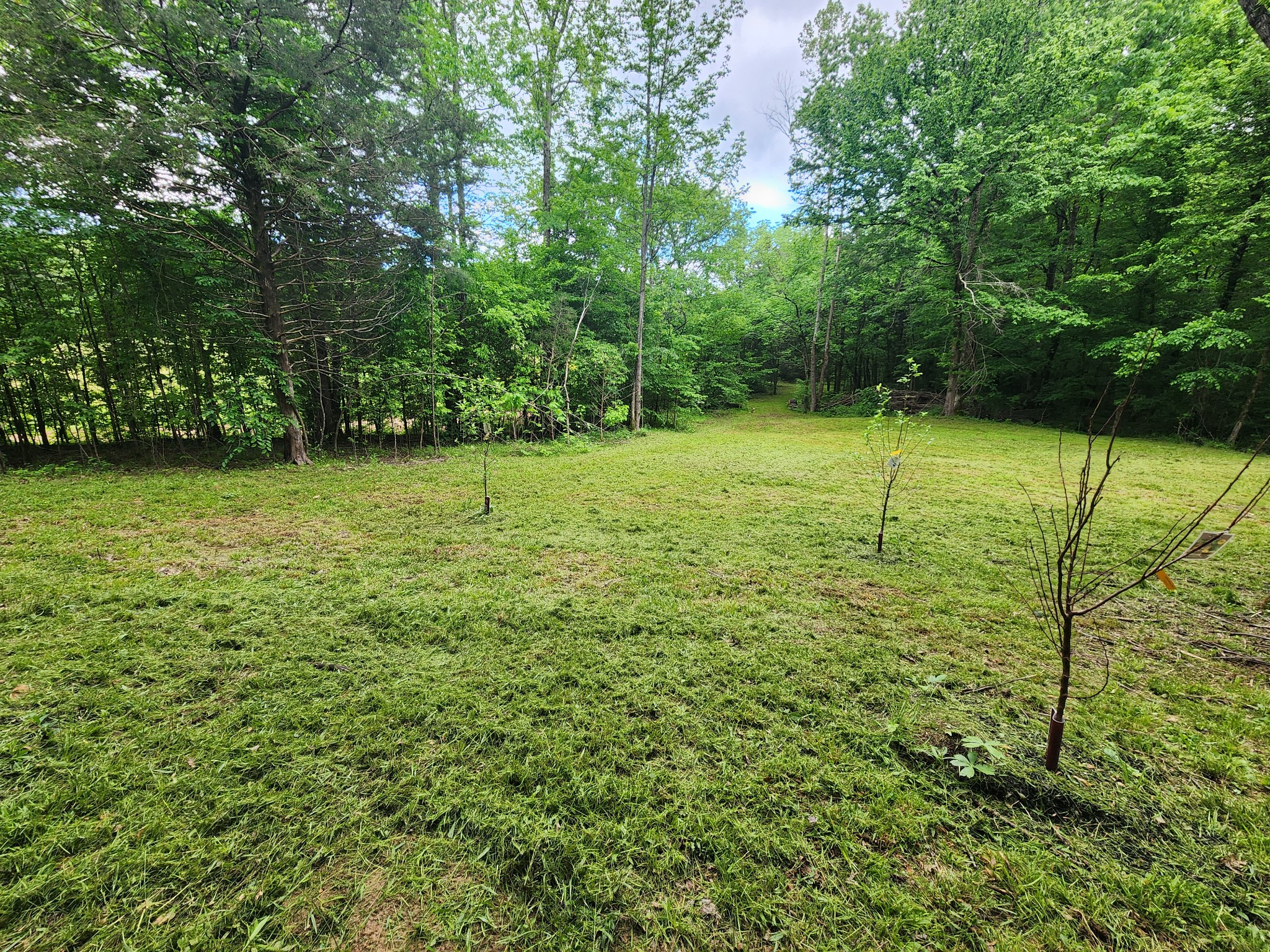 0 Tinin Road Clifton, TN 38425 - Photo 15 of 26 Gallery Image 15