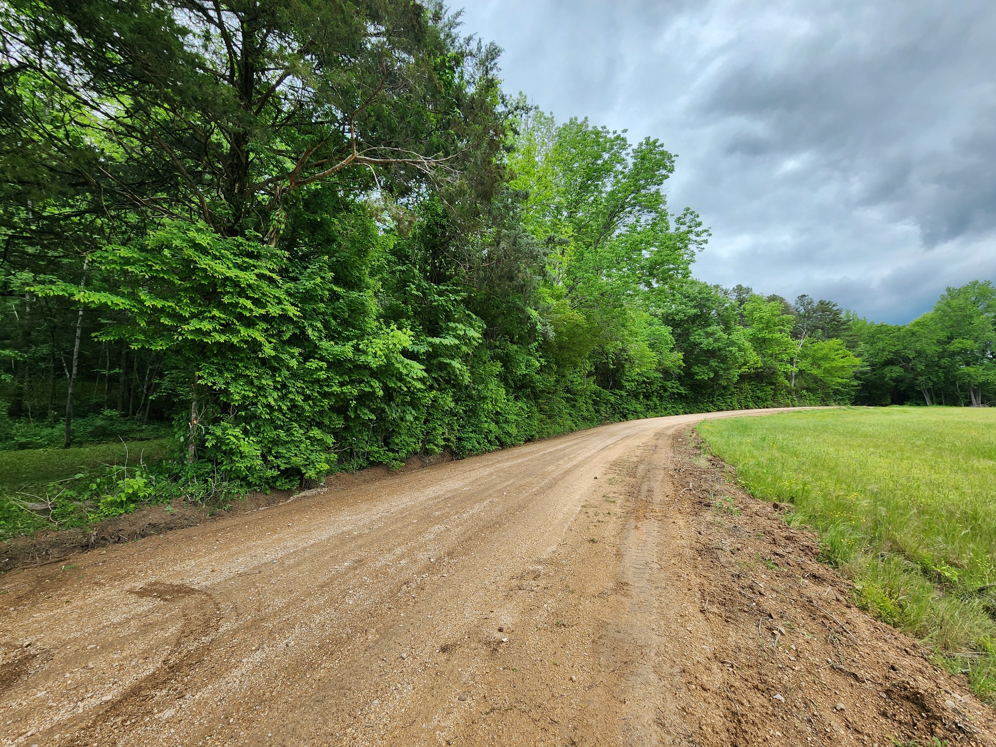 0 Tinin Road Clifton, TN 38425 - Photo 16 of 26 Gallery Image 16