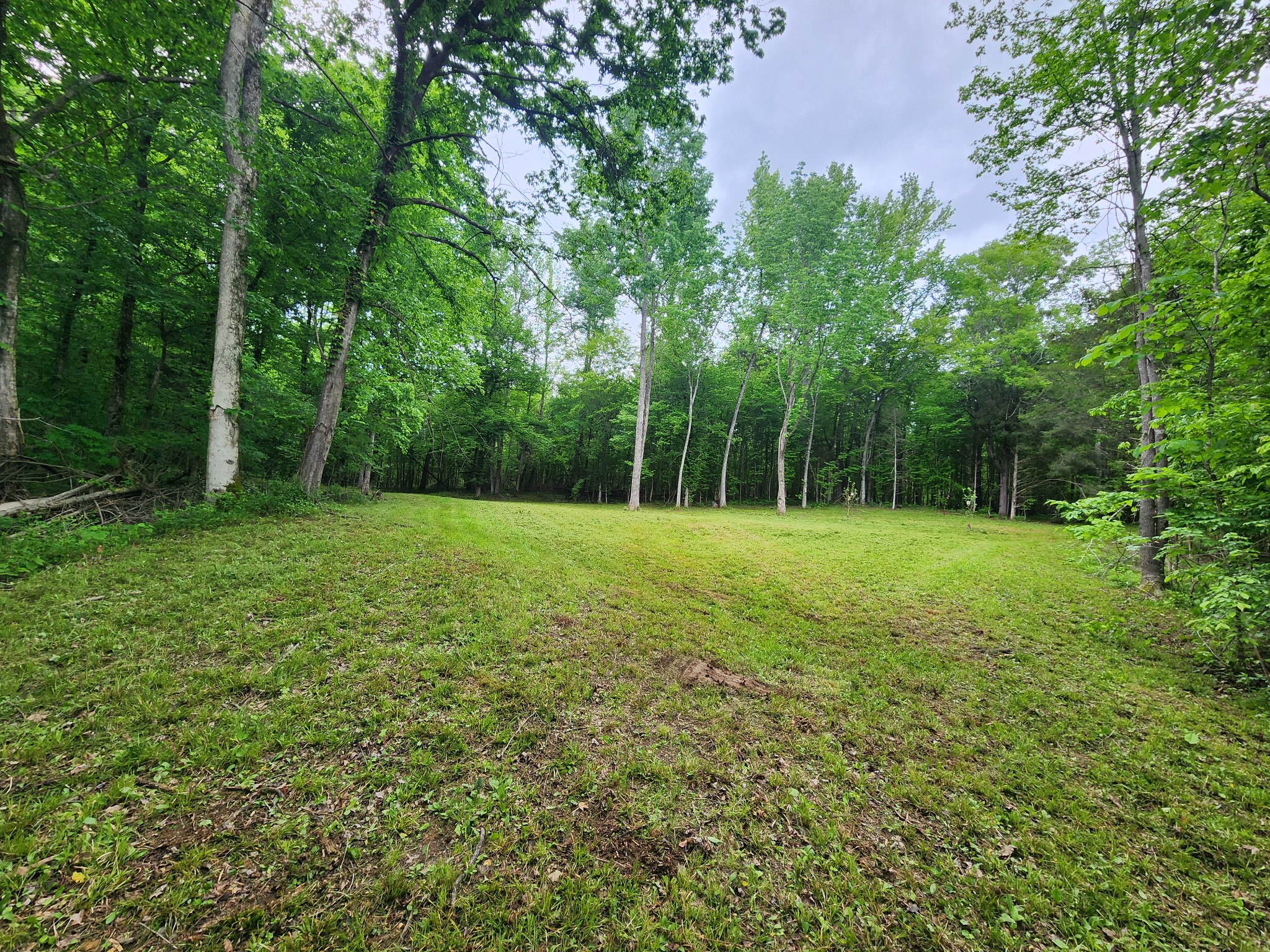 0 Tinin Road Clifton, TN 38425 - Photo 2 of 26 Gallery Image 2