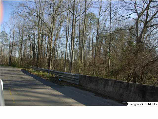 Refuge Road, Unit 10 Ragland, AL 35131 - Photo 2 of 6