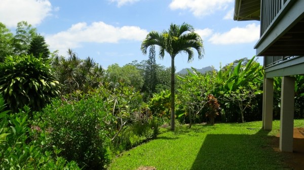 431 Kaholalele Road Kapaa, HI 96746 - Photo 13 of 25 Gallery Image 13
