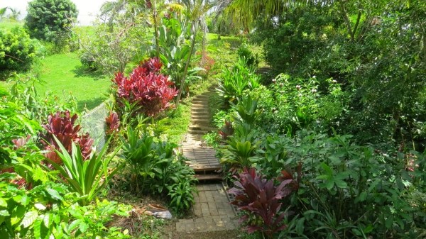 431 Kaholalele Road Kapaa, HI 96746 - Photo 16 of 25 Gallery Image 16