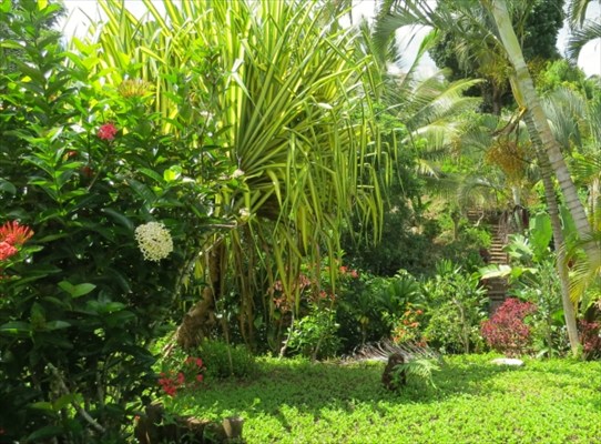 431 Kaholalele Road Kapaa, HI 96746 - Photo 19 of 25 Gallery Image 19