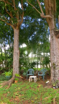431 Kaholalele Road Kapaa, HI 96746 - Photo 21 of 25 Gallery Image 21
