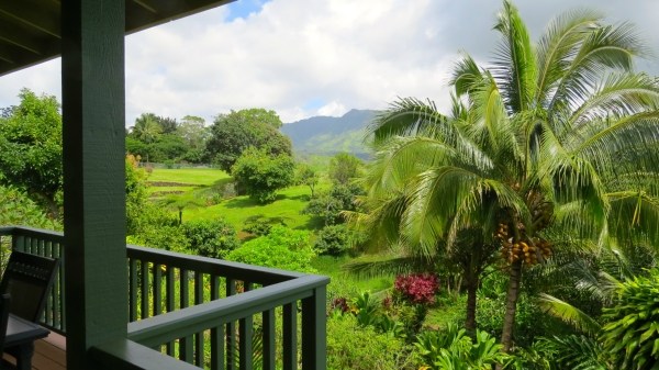431 Kaholalele Road Kapaa, HI 96746 - Photo 3 of 25 Gallery Image 3