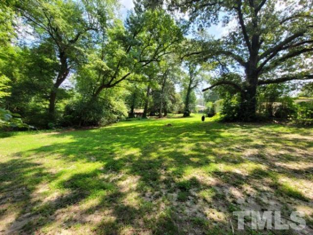 5320 Rock Quarry Road Raleigh, NC 27610 - Photo 4 of 13 a view of a trees with a big yard