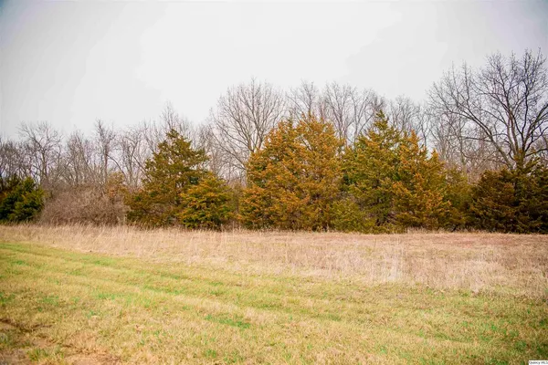 a view of yard with trees