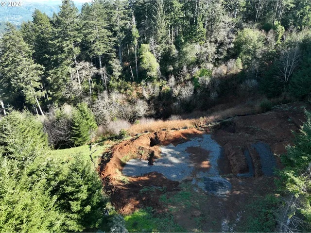 a view of a forest with a street