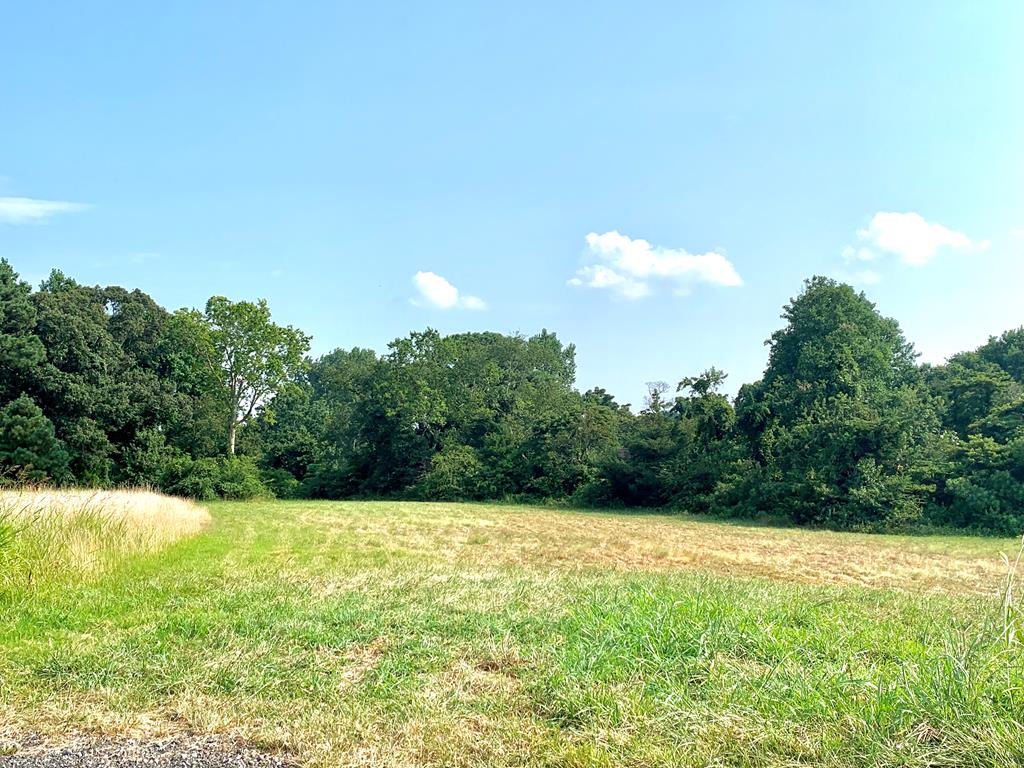 Lot 24 Overlook Road, Unit 24 Bellingham, MA 02019 - Photo 3 of 6