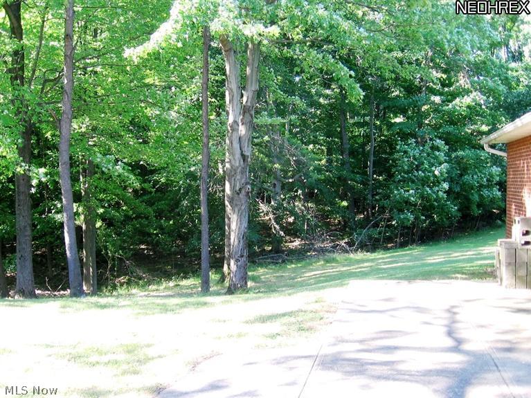 1928 Rockside Road Independence, OH 44131 - Photo 23 of 23 Backyard Summer (View 2)