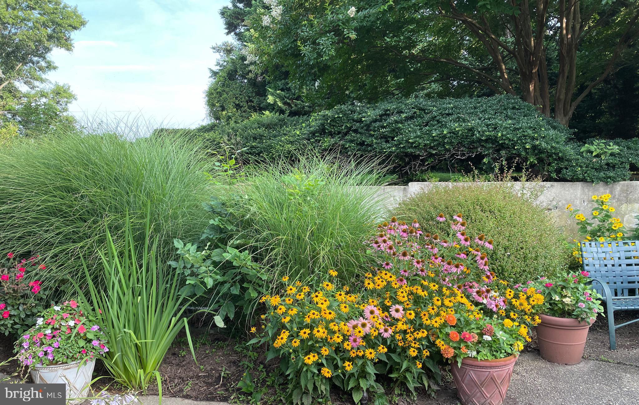 1080 Mt Airy Road Davidsonville, MD 21035 - Photo 8 of 64 a view of a garden with a flower garden