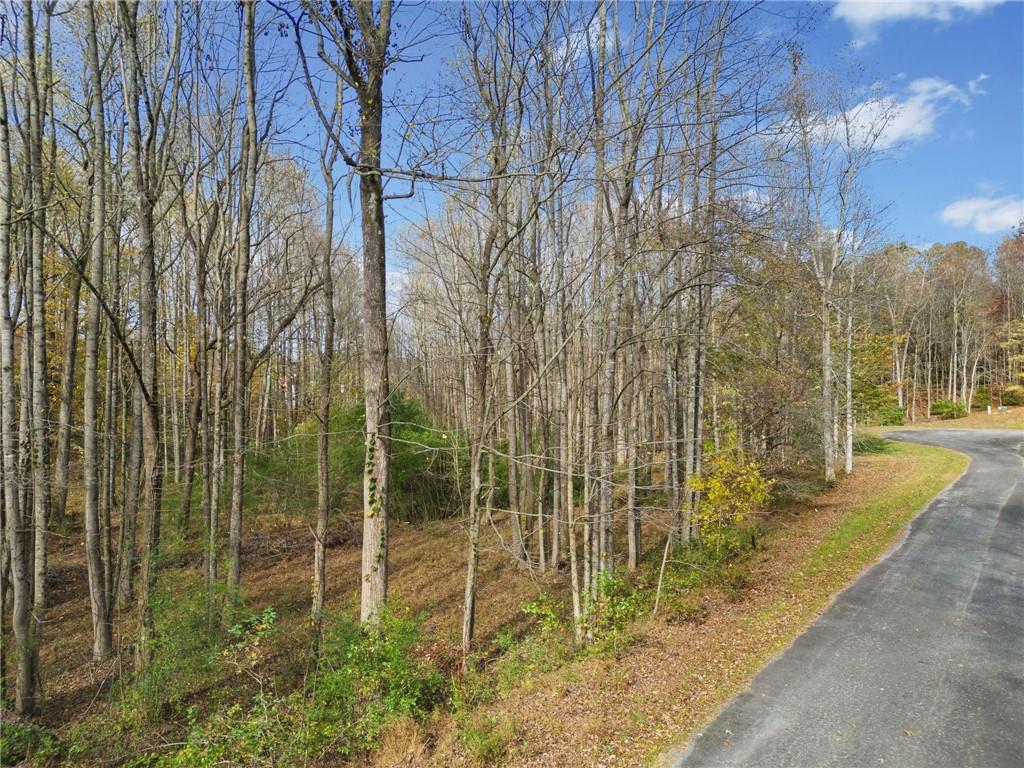 14 Highpoint Ridge Ellijay, GA 30536 - Photo 5 of 24 Gallery Image 5