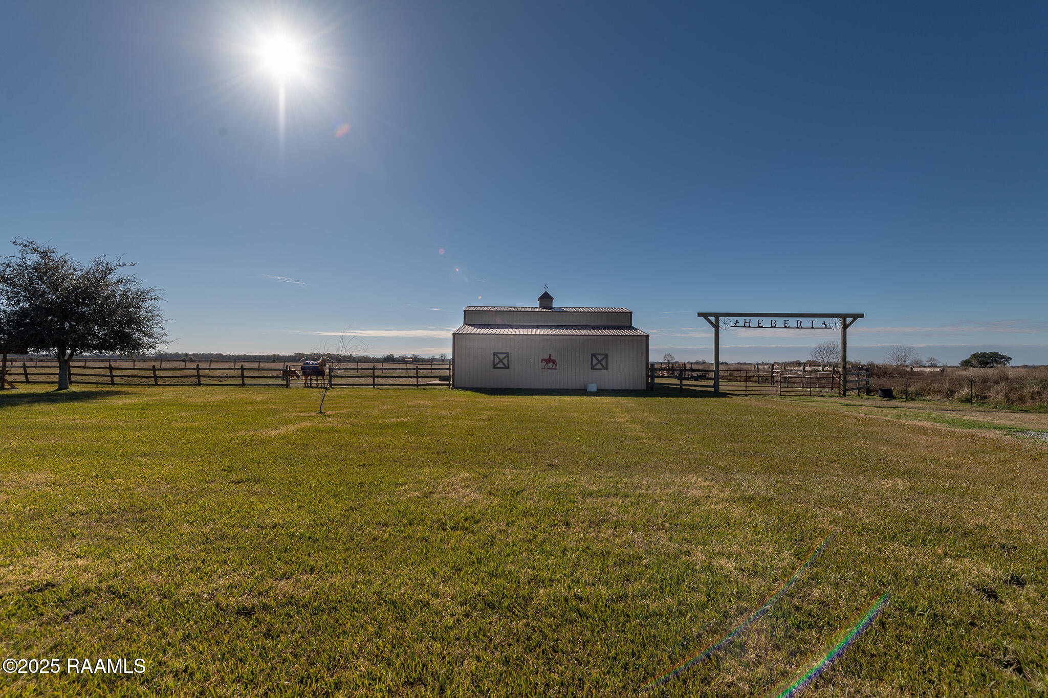 2386 Regan Road Iota, LA 70543 - Photo 14 of 38 BHP_8785