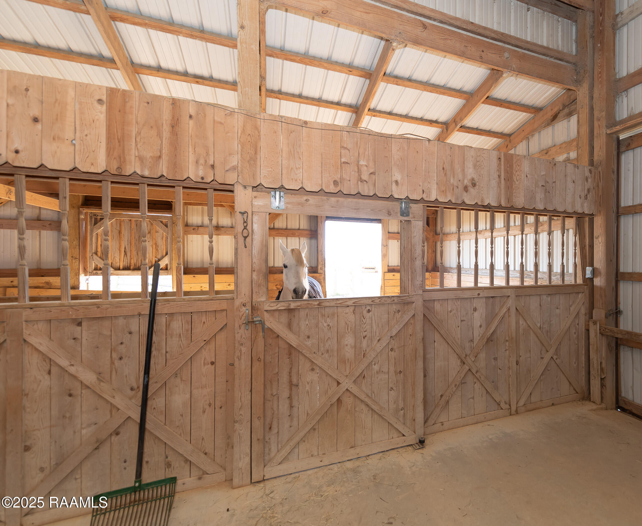 2386 Regan Road Iota, LA 70543 - Photo 24 of 38 BHP_8774