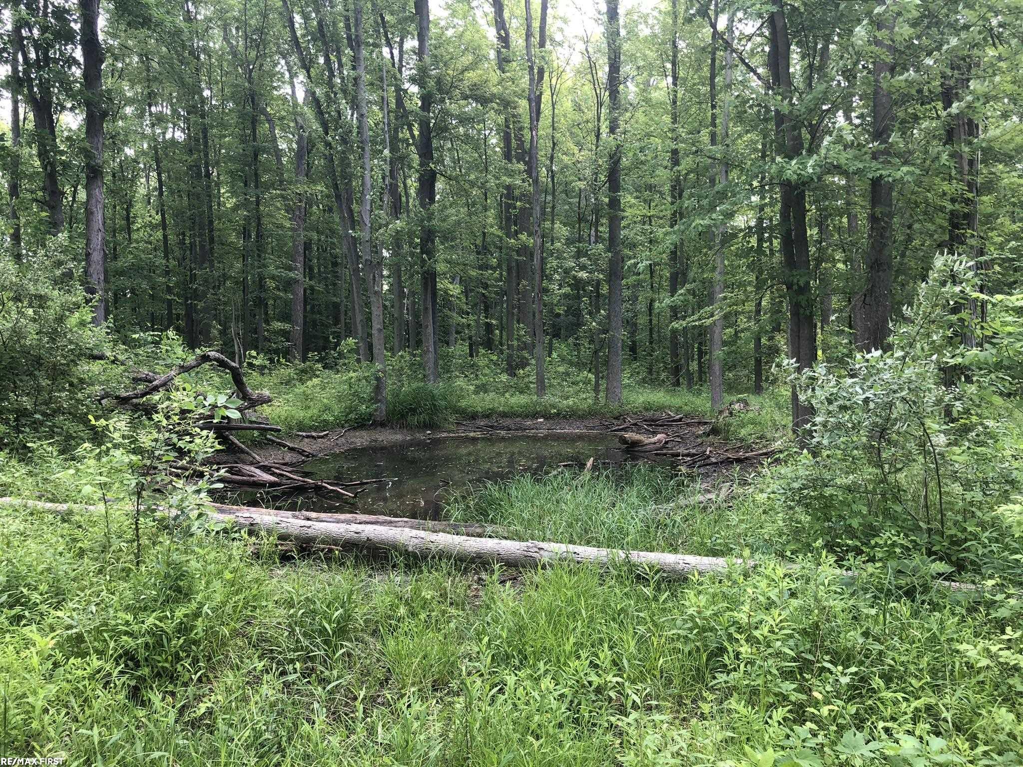 0 29 29 Mile Road New Haven, MI 48050 - Photo 31 of 38
