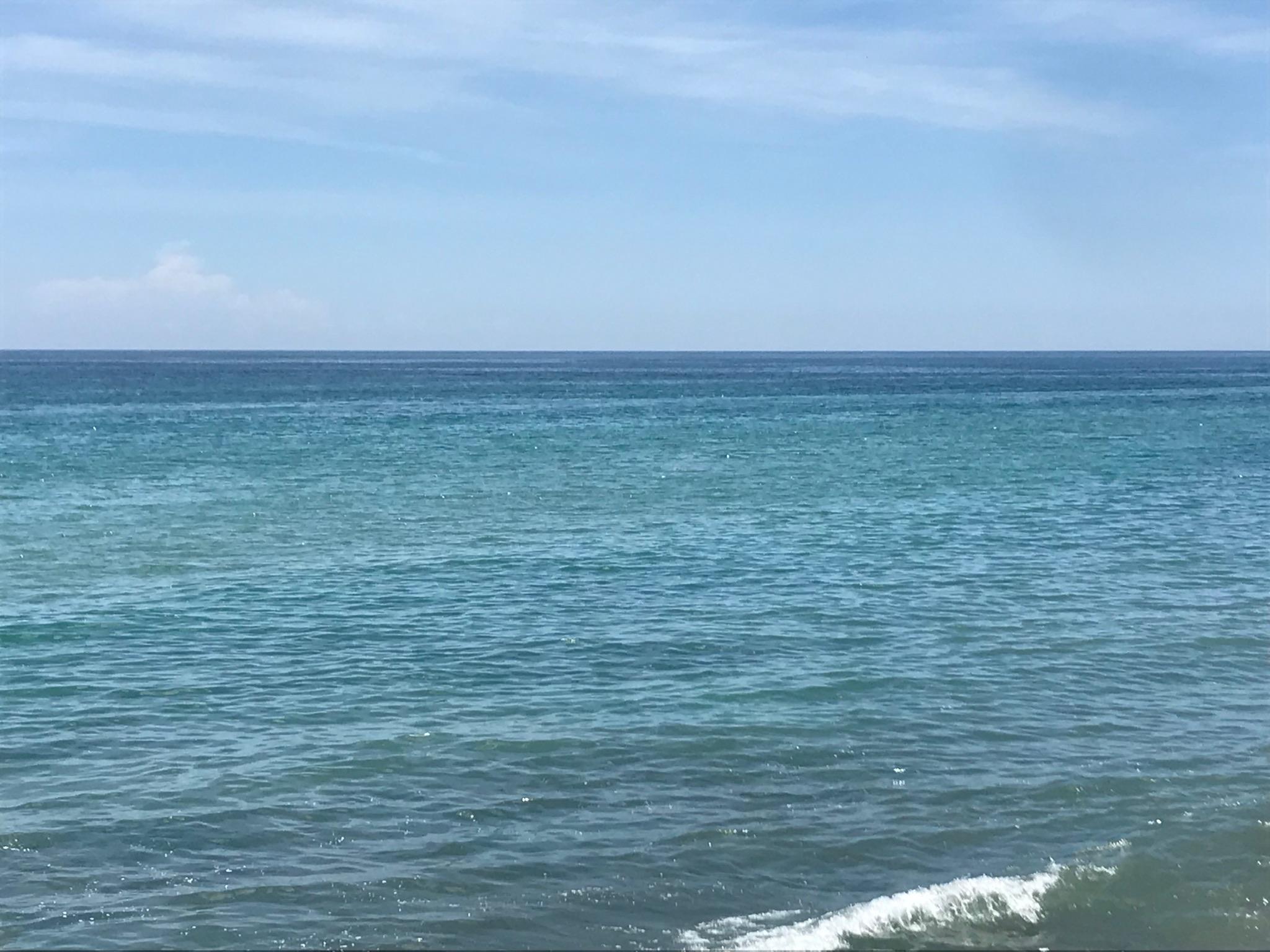 221 Northeast Plantation Road, Unit 211 Stuart, FL 34996 - Photo 31 of 33 3EEE8255-78F1-4C80-8431-E072399CEAA2