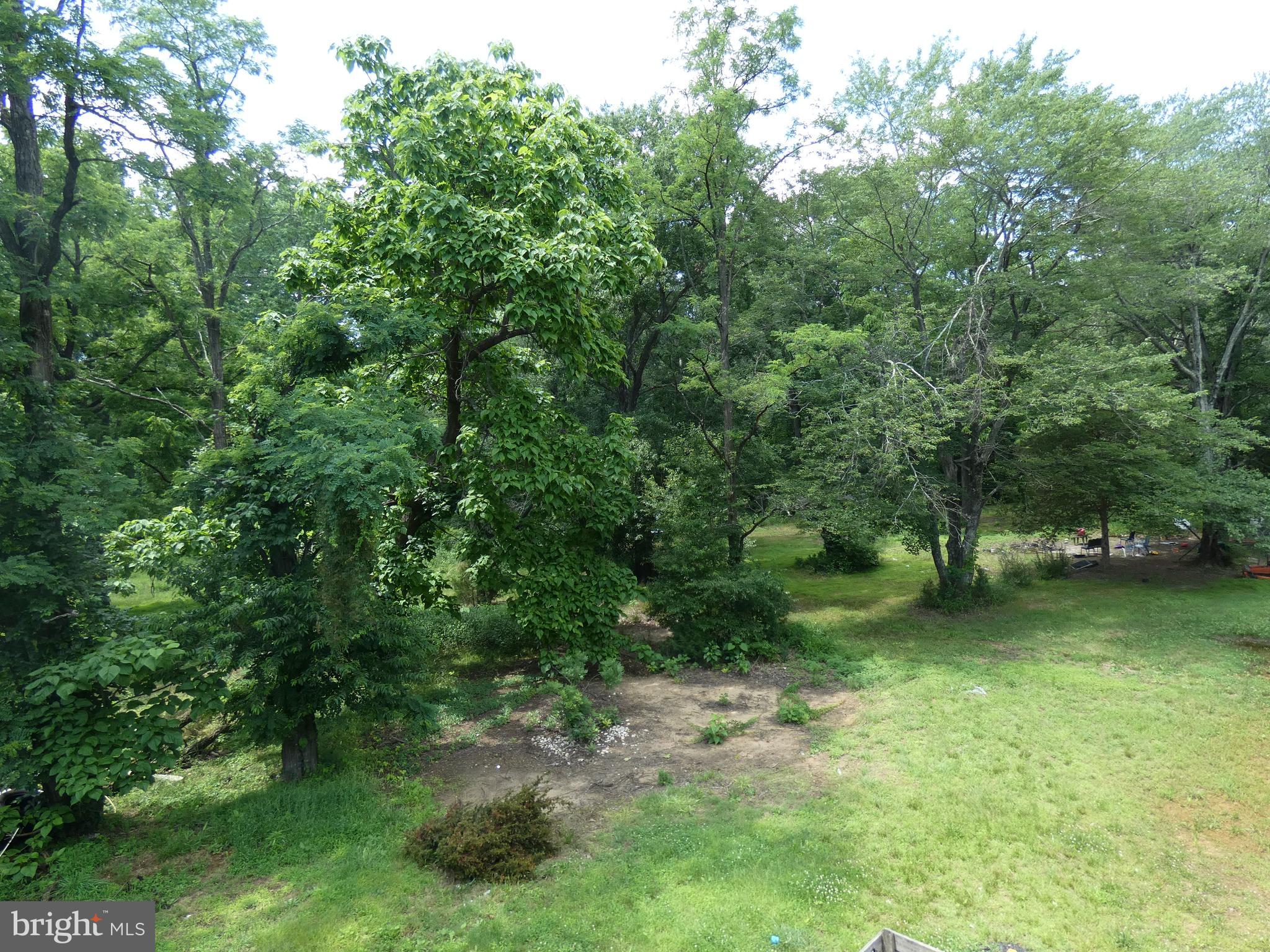 389 East Millstream Road Cream Ridge, NJ 08514 - Photo 30 of 40