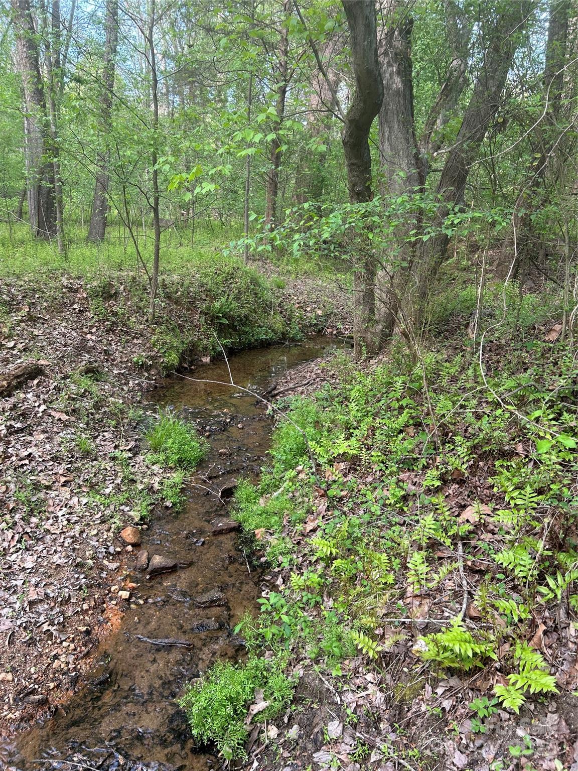 a view of a garden with trees
