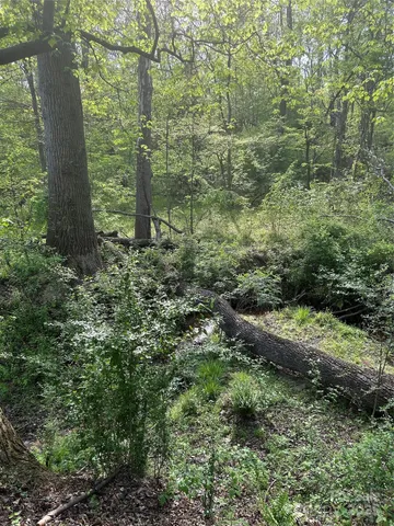 a view of outdoor space with deck and tree