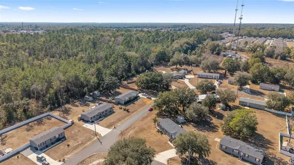 a view of dirt yard with a large tree