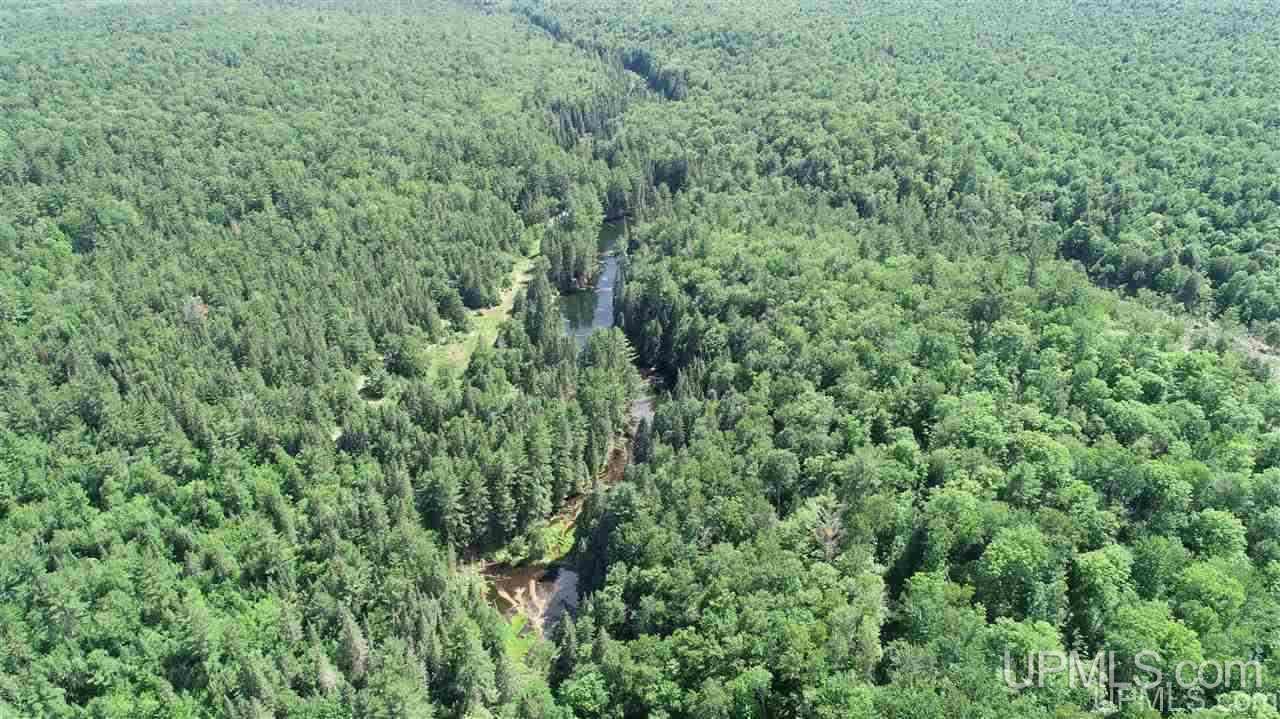 2804-acres Co Rd 442 McMillan, MI 49853 - Photo 5 of 48