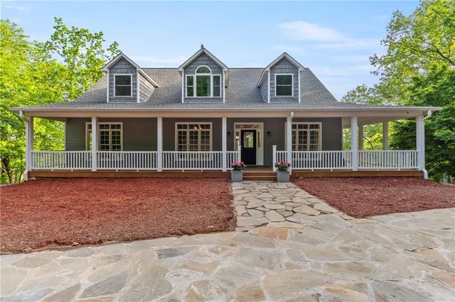 a view of a forest with trees in the background