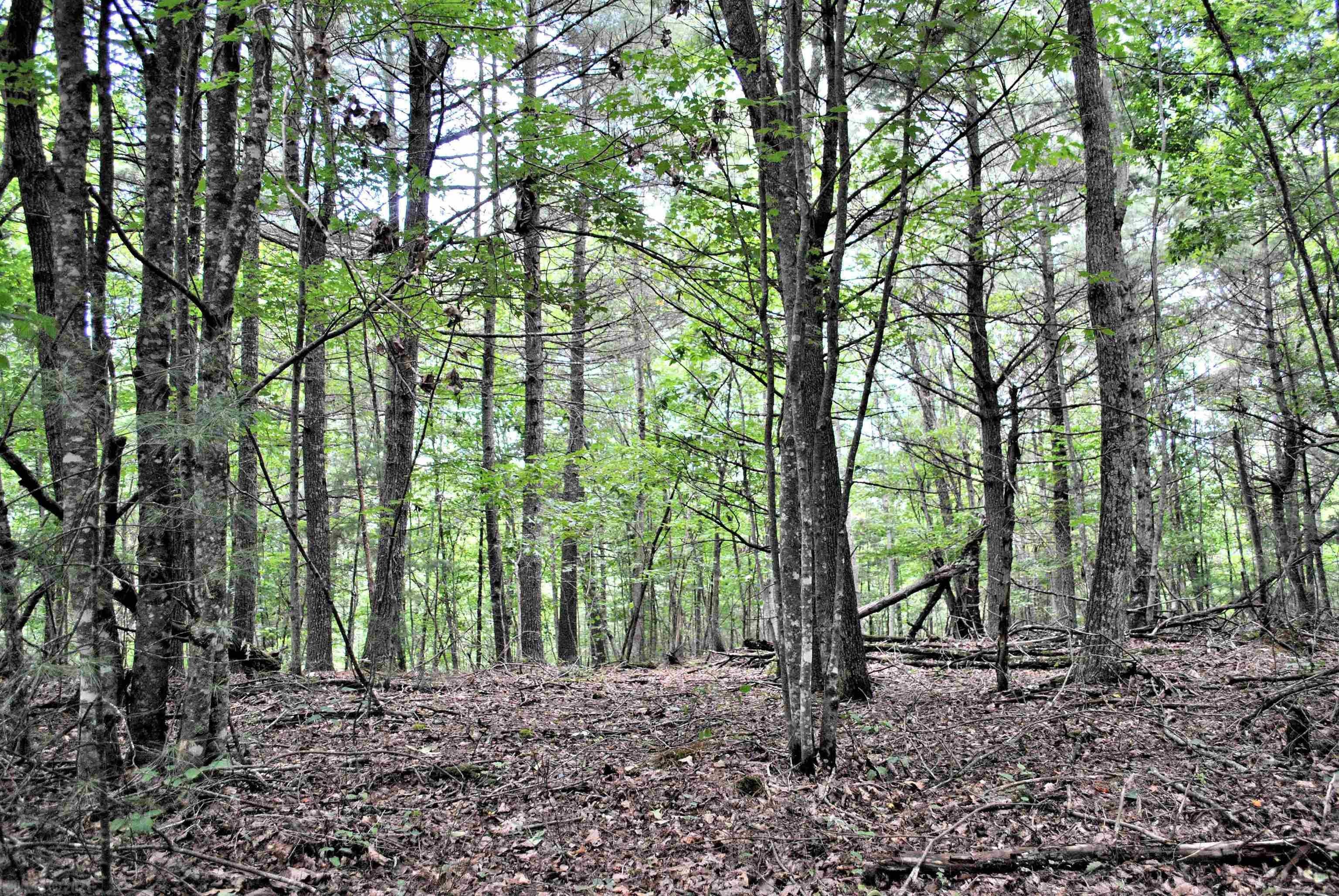 Tbd 153.054-ac Tbd 153.054-ac Chestnut Ridge Road Riner, VA 24149 - Photo 29 of 31 Gallery Image 29