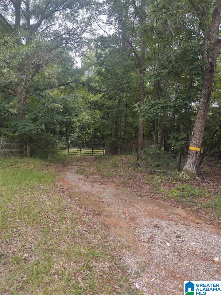 1590 Clay Pit Road, Unit LONG LEGAL Montevallo, AL 35115 - Photo 3 of 3