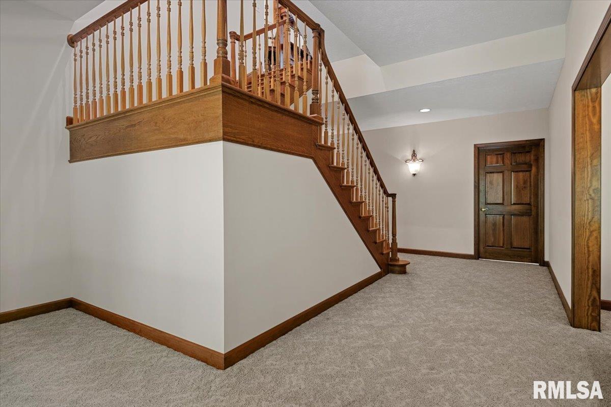 47 Woodland Trail Rochester, IL 62563 - Photo 51 of 96