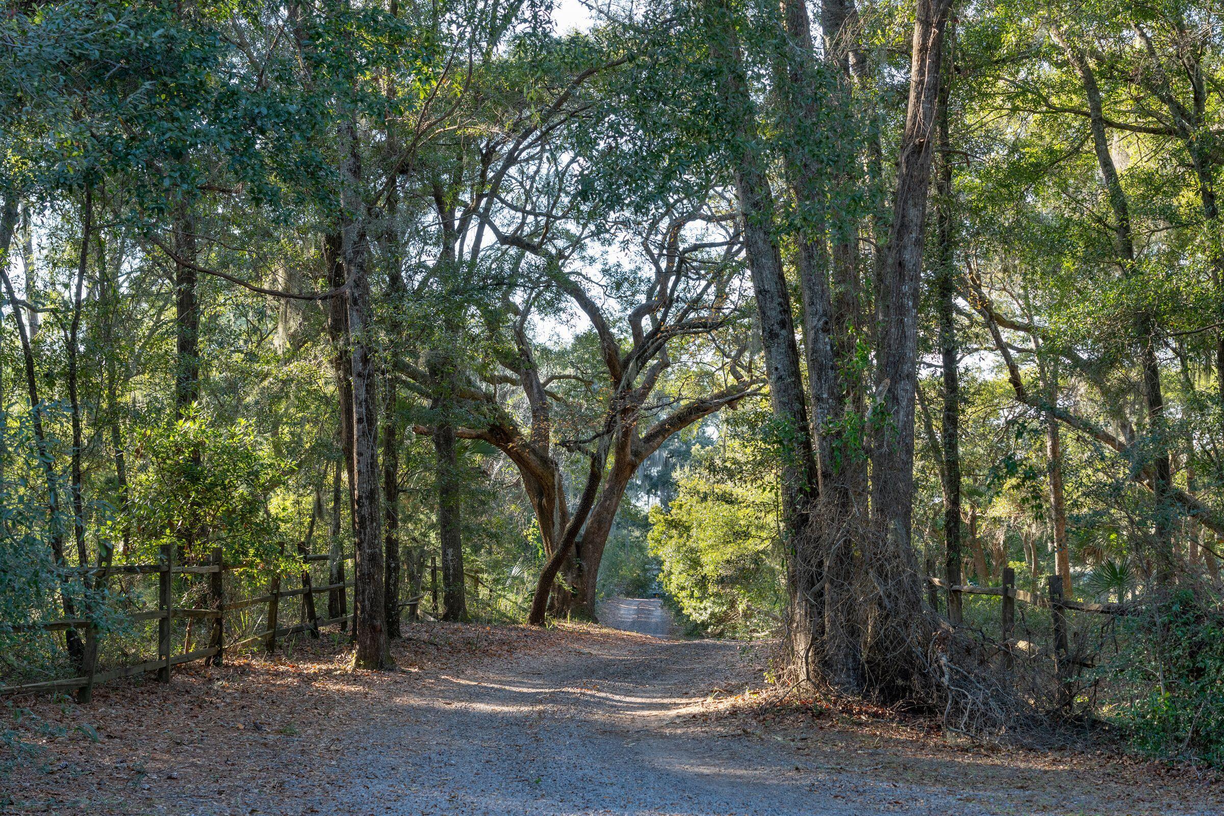 3320 Hopkinson Plantation Road Johns Island, SC 29455 - Photo 80 of 92 mls_3320HopkinsonPlantationRd-KeenEyeMar