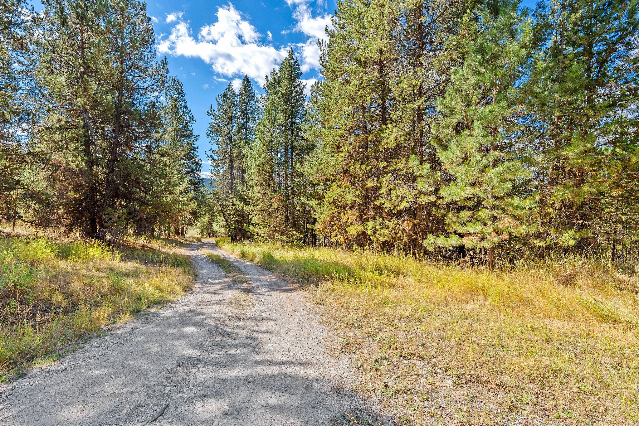 2950 Lower Lost Prairie Road Marion, MT 59925 - Photo 43 of 49 Gallery Image 43