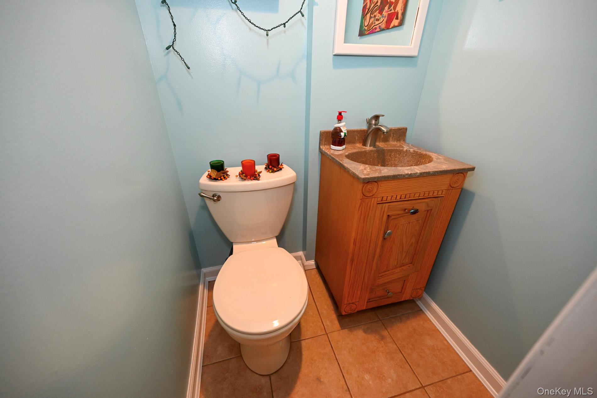 258 Rintin Street Franklin Square, NY 11010 - Photo 21 of 30