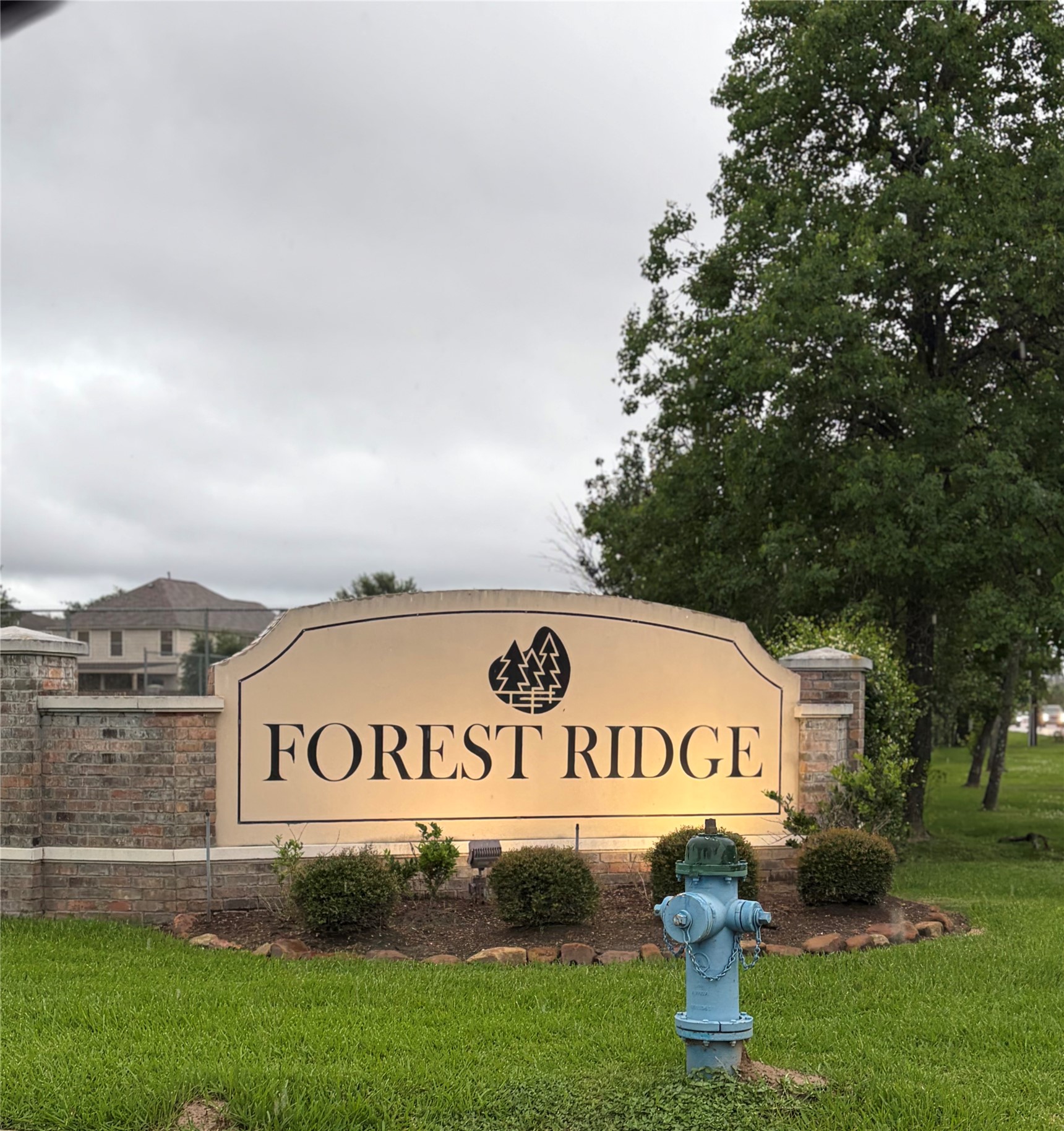 3131 Peachstone Place Spring, TX 77389 - Photo 20 of 20 a view of garden
