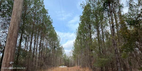 24 Pleasant Road Camp Hill, AL 36850 - Photo 18 of 21 Gallery Image 18