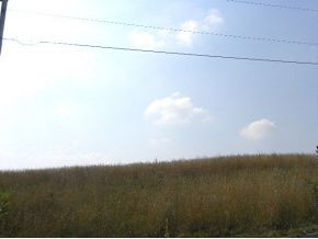 Lot 55 Walkers Bend Road, Unit 17 Gray, TN 37615 - Photo 3 of 8 View Three From Road