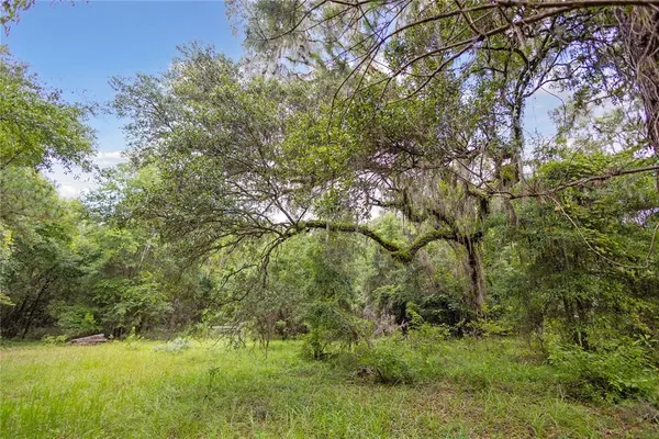 $574,999 | 8530 Northeast 160th Avenue, Williston, FL 32696