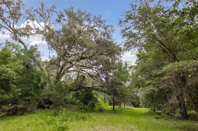 $585,000 | 8530 Northeast 160th Avenue, Williston, FL 32696