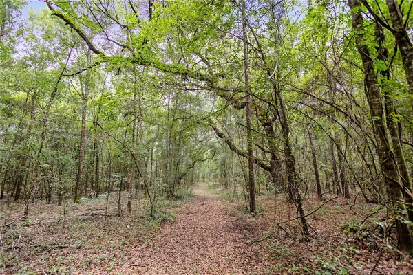 $574,999 | 8530 Northeast 160th Avenue, Williston, FL 32696