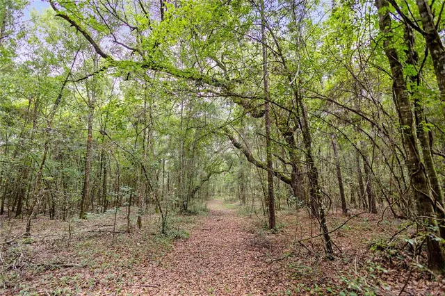 $585,000 | 8530 Northeast 160th Avenue, Williston, FL 32696