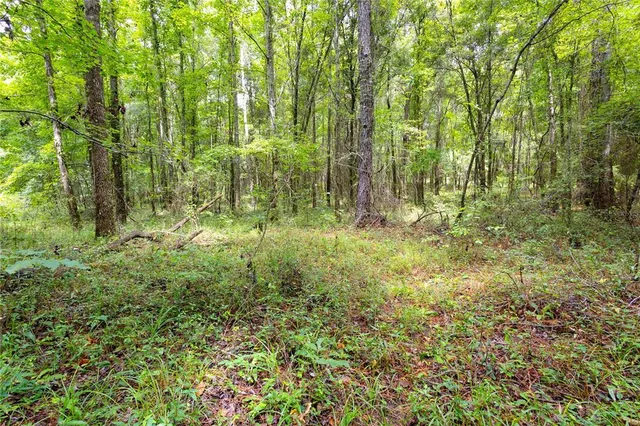 $585,000 | 8530 Northeast 160th Avenue, Williston, FL 32696