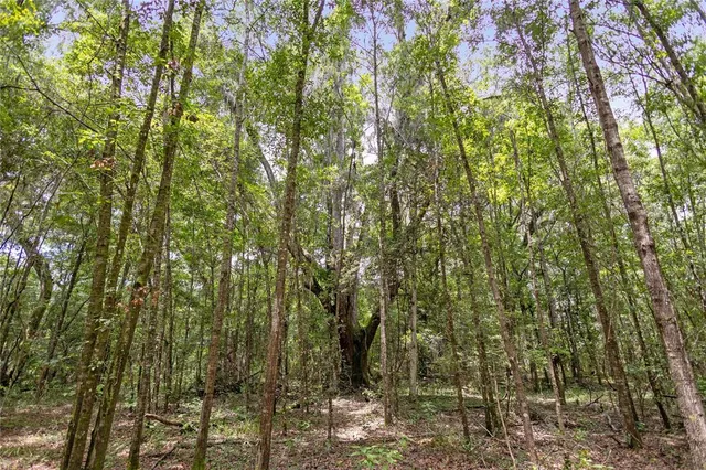 $585,000 | 8530 Northeast 160th Avenue, Williston, FL 32696